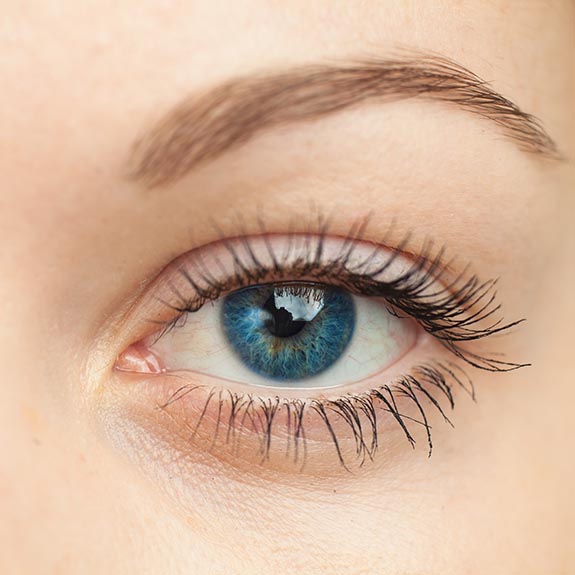Eyes